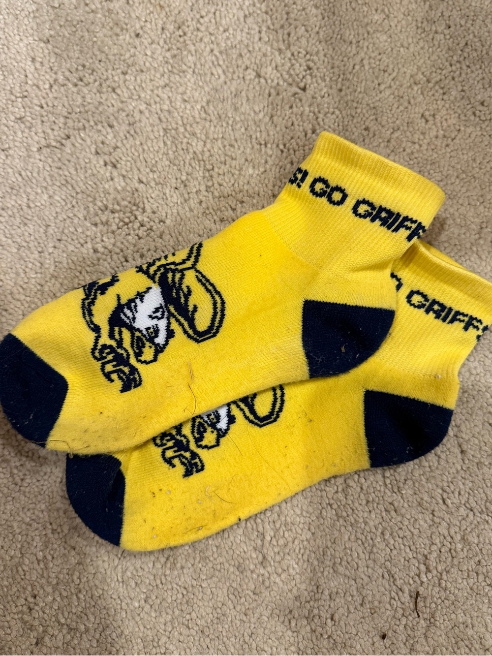 College Mascot Socks